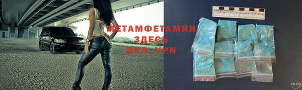 ГАЛЛЮЦИНОГЕННЫЕ ГРИБЫ Ельня