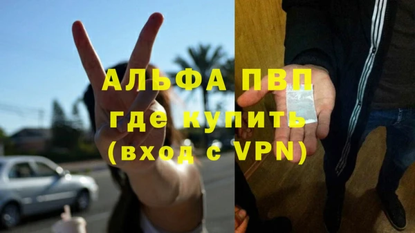амф Заволжск