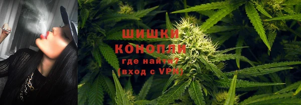 ГАЛЛЮЦИНОГЕННЫЕ ГРИБЫ Ельня