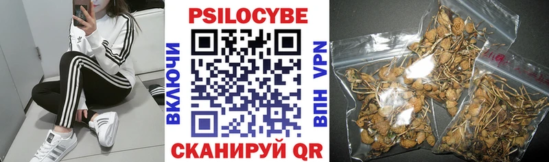 Купить где  Челябинск  Псилоцибиновые грибы ЛСД 