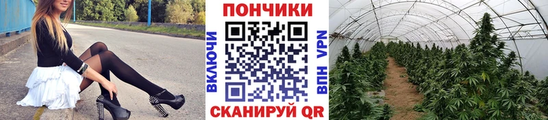 Купить где  Челябинск  Конопля тримм 